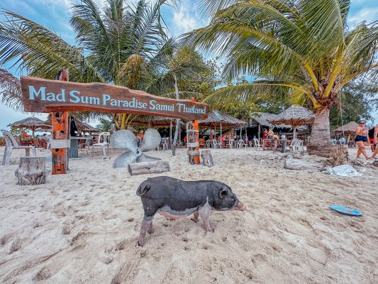 Krabi SJ экскурсии